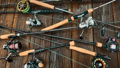 بهترین چوب و چرخ ماهیگیری
