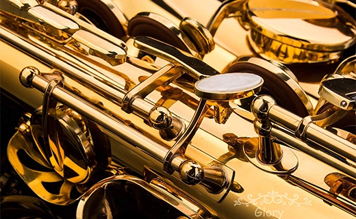Glory Professional Eb Alto Saxophone 