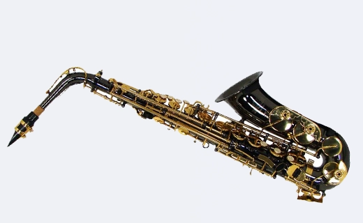 Roy Benson RBAS202K Student Alto Saxophone